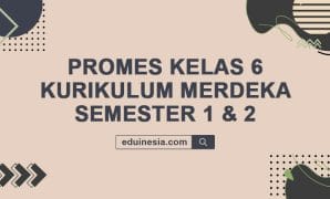 Promes Kelas 6 Kurikulum Merdeka Semester 1 & 2