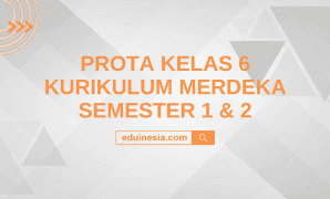 Prota Kelas 6 Kurikulum Merdeka Semester 1 & 2